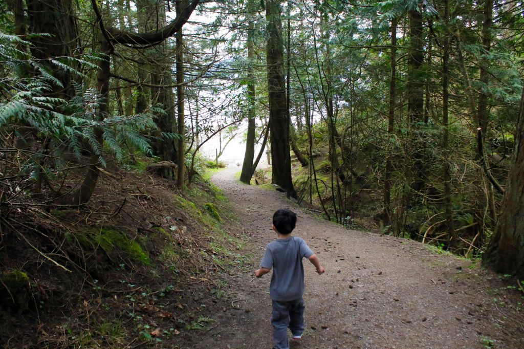 The trail to Coles Bay