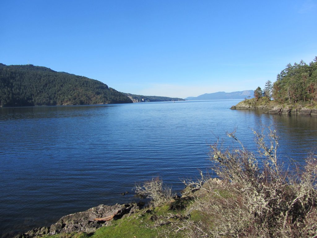 The view of Saanich Inlet from McKenzie Bight