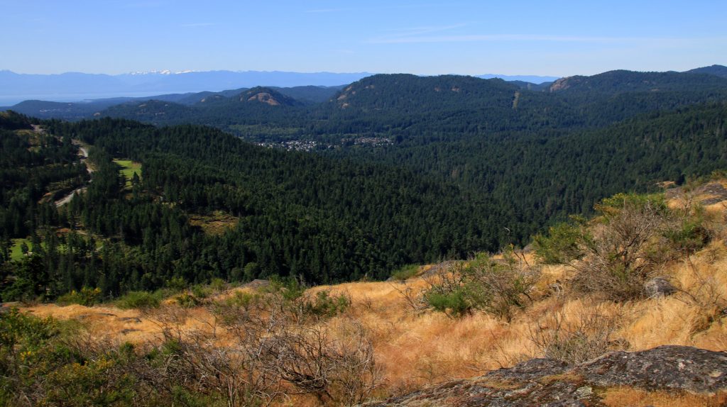 The view from Mount Finlayson