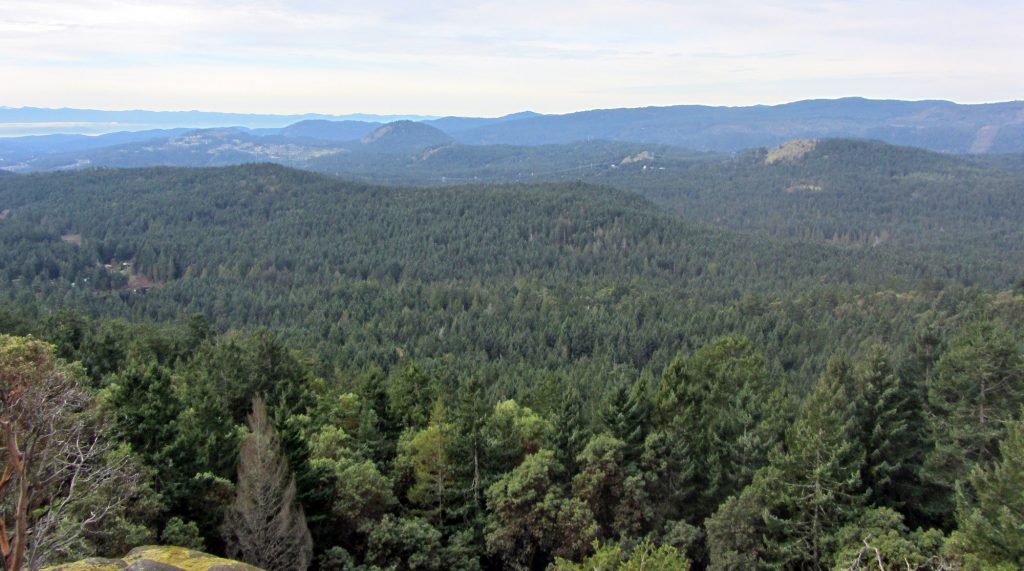 The view of the Saanich area from Mount Work