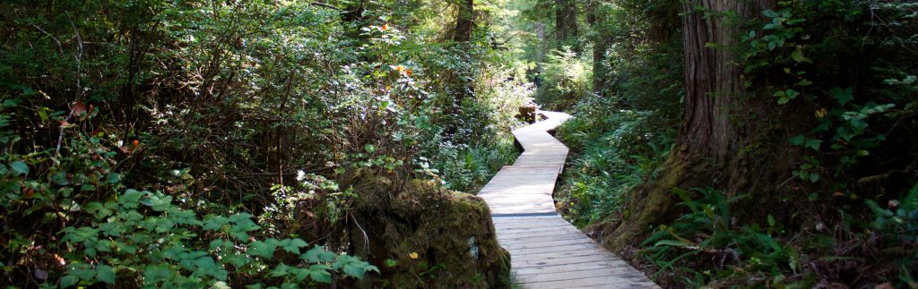 Tofino Hiking