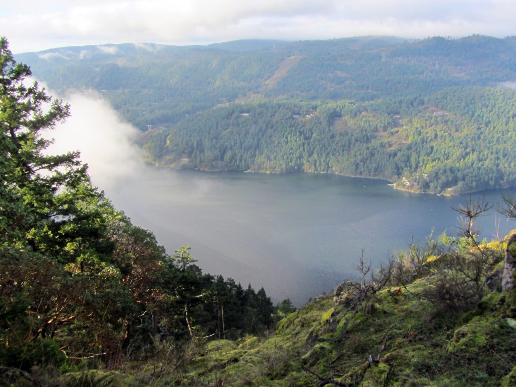 A view of Saanich Inlet from Gowlland Tod Provincial Park