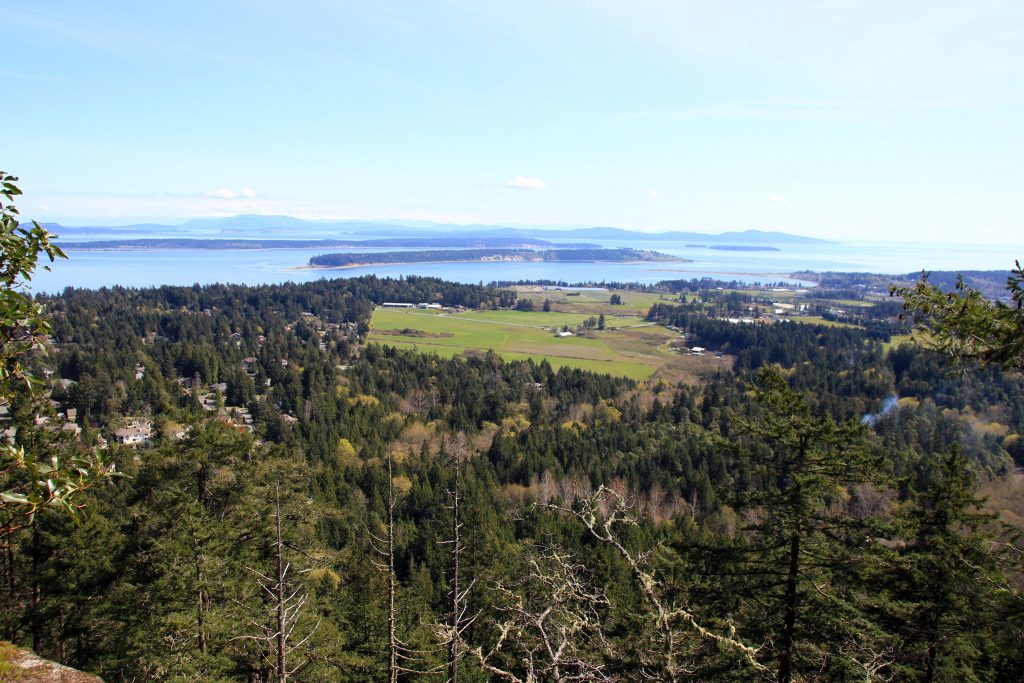 The view from Pickles' Bluff in John Dean Provincial Park