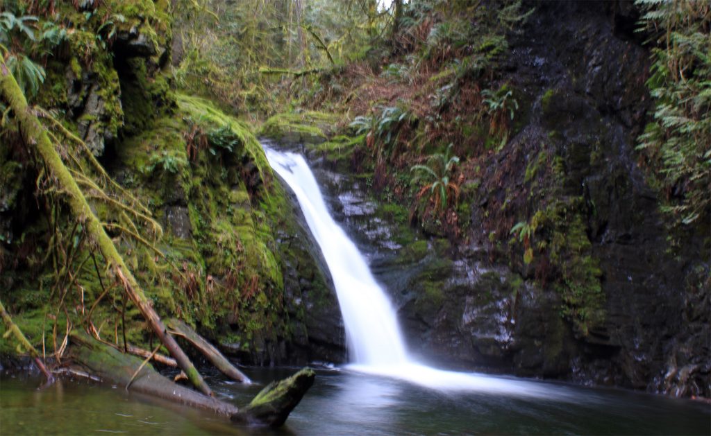 Upper Goldstream Falls