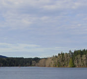 Elk / Beaver Lake