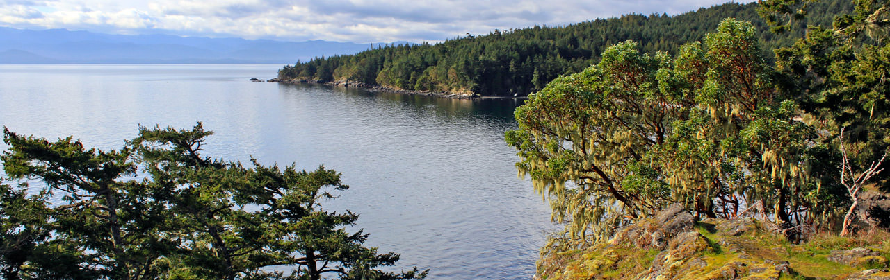 The view from East Sooke Park