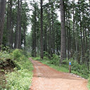 The junction marks the first right along the route to Ammonite Falls