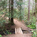 A tiny bridges along the trail to Ammonite Falls