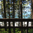 The beach and Juan de Fuca Strait can be seen through the trees along the trail to China Beach