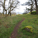 A path in the grass leads out to a viewpoint on the rocks