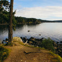 A view looking out into Becher Bay along the Coast Trail in East Sooke Park.