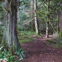 The Centennial Trail that loops around Francis King Regional Park in Victoria