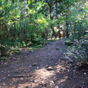 The trail near the map board in Horth Hill Regional Park