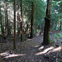 The trail descends along the Sunset Bridle Trail in Horth Hill Regional Park