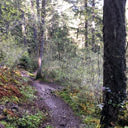 A rocky and muddy section along the Matheson Lake Loop trail
