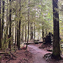 The trail to Sandcut Beach Falls along the Strait of Juan de Fuca
