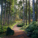 A trail to one of the viewpoints in Sooke Potholes Regional Park.