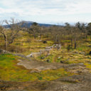 The bird and plant habitat areas at the top of Christmas Hill in Victoria, BC.