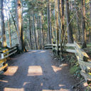 The trail around Lower Thetis Lake.
