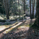 The trail around Upper and Lower Thetis Lake is well marked and easy to follow.