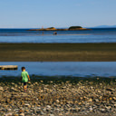 Playing along the rocks at low tide on the beach near Witty's Lagoon in Victoria, BC.